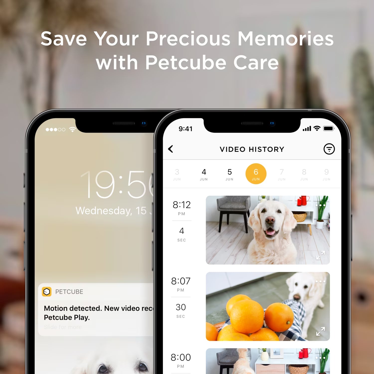 Bites 2 Lite Wifi Pet Camera with Treat Dispenser, 1080P HD Video, Two-Way Audio, Night Vision, Motion & Sound Alerts, Dog & Cat Monitor with App