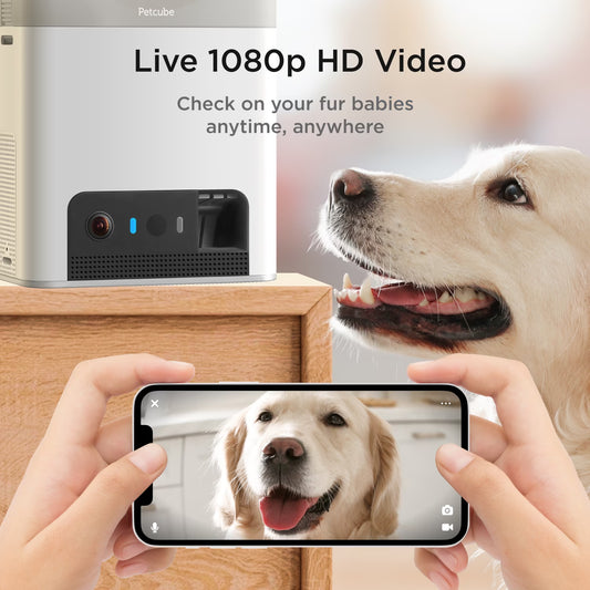 Bites 2 Lite Wifi Pet Camera with Treat Dispenser, 1080P HD Video, Two-Way Audio, Night Vision, Motion & Sound Alerts, Dog & Cat Monitor with App